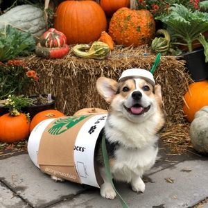 Meet your Posher, Savannah